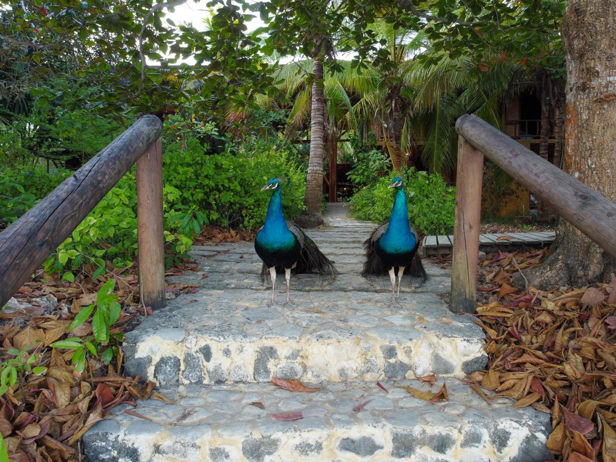 Isla Fuerte Eco House Βίλα Puerto Limon Εξωτερικό φωτογραφία