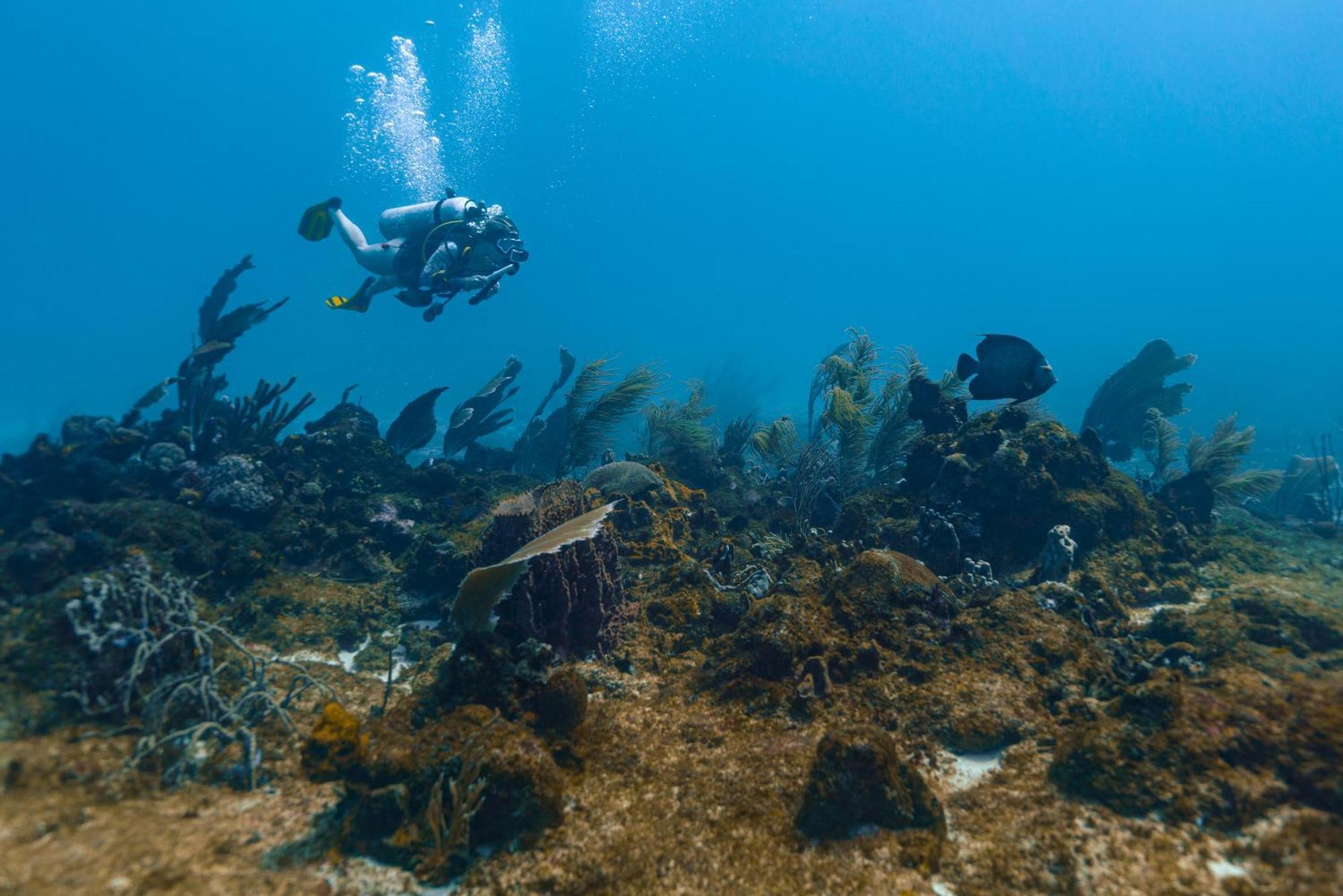 Isla Fuerte Eco House Βίλα Puerto Limon Εξωτερικό φωτογραφία