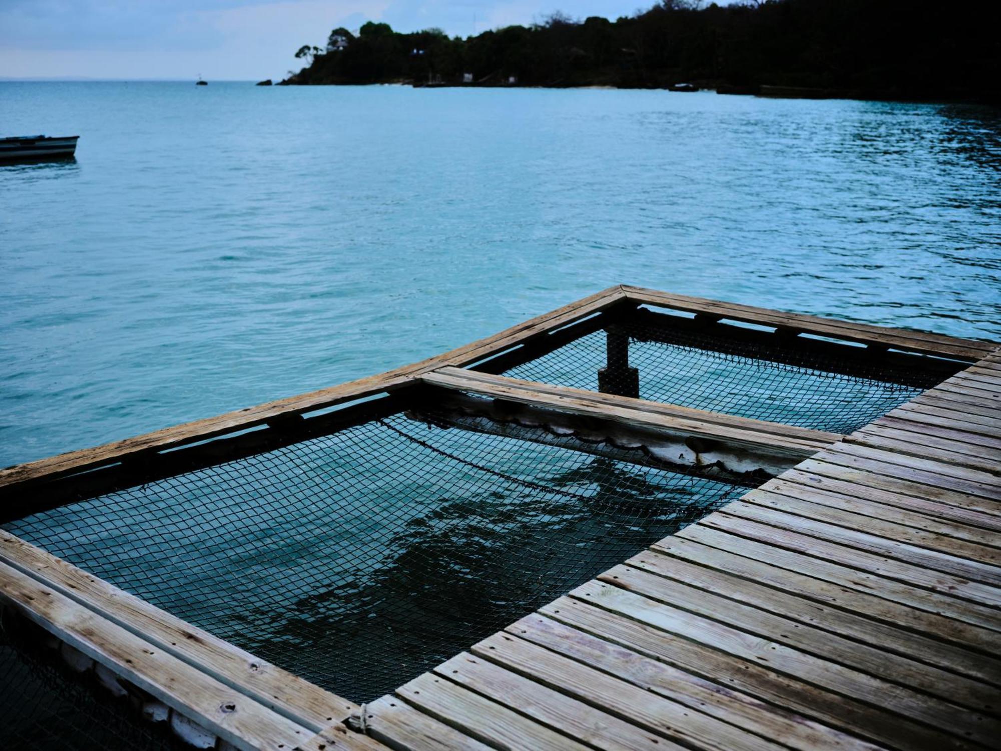 Isla Fuerte Eco House Βίλα Puerto Limon Εξωτερικό φωτογραφία